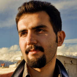 رضا  برادری