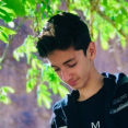 محمد متین  تقوی نیا
