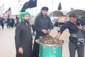 سوگواره سوم-عکس 4-امیر ورزدار-پیاده روی اربعین از نجف تا کربلا