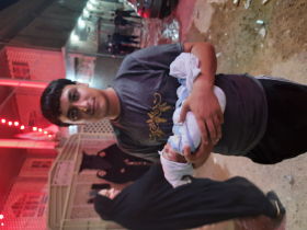 عکس اربعین