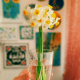 منیره سادات  میرآفتابی 